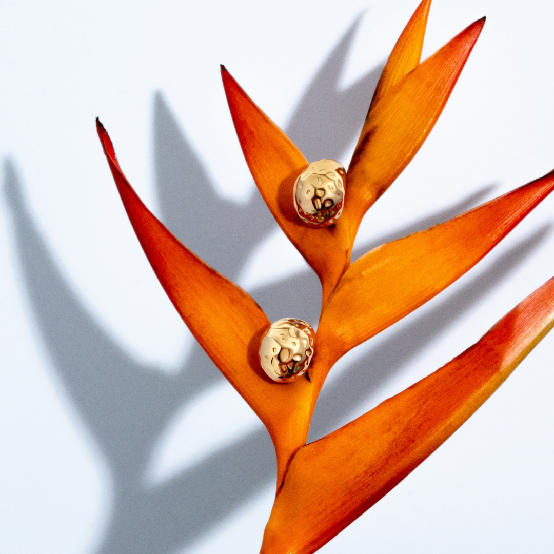 Collins Gold Earrings-0