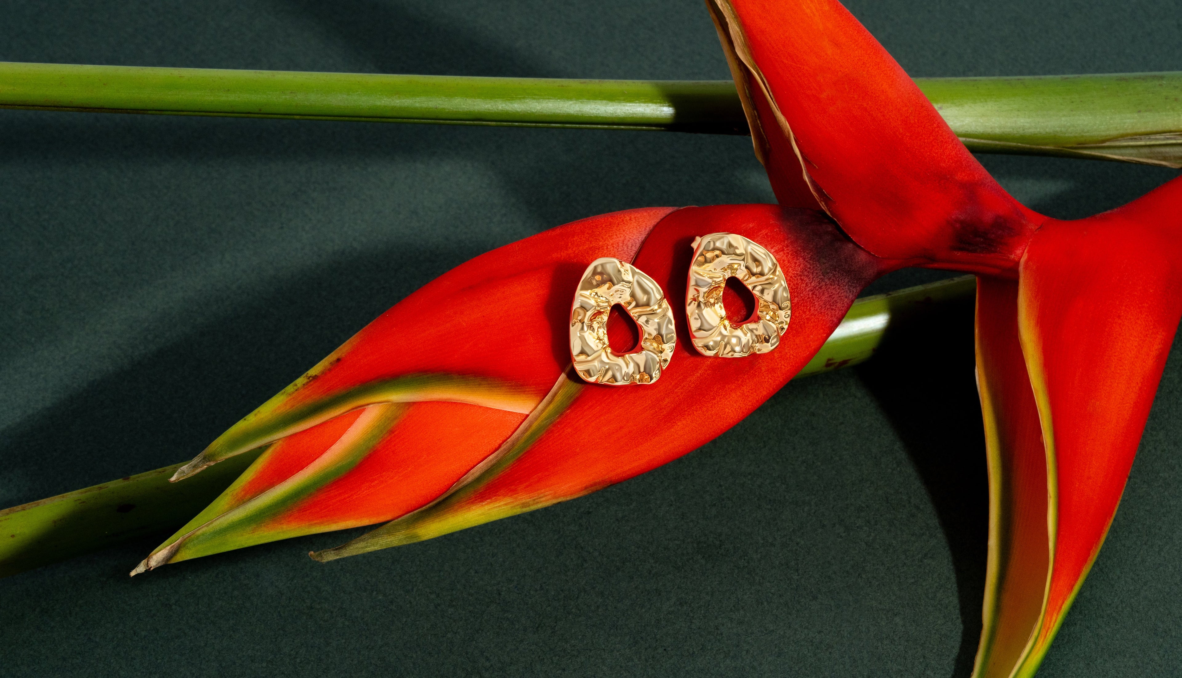 Nathalia Gold Earrings-3